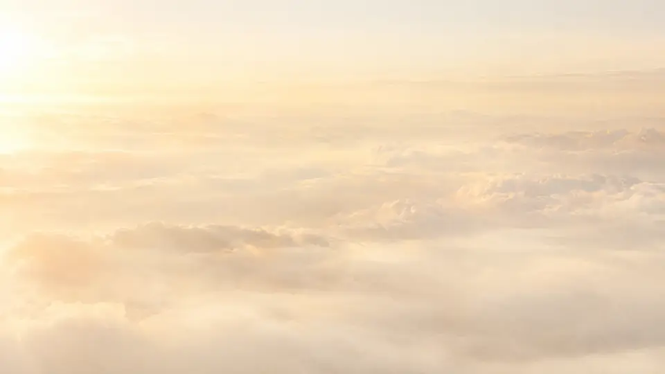 A pale sea of clouds in soft sunrise light.