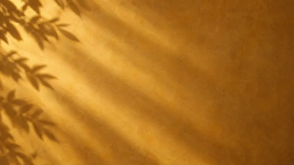 A honey-gold wall crossed by bands of sunlight and the shadows of laurel leaves.